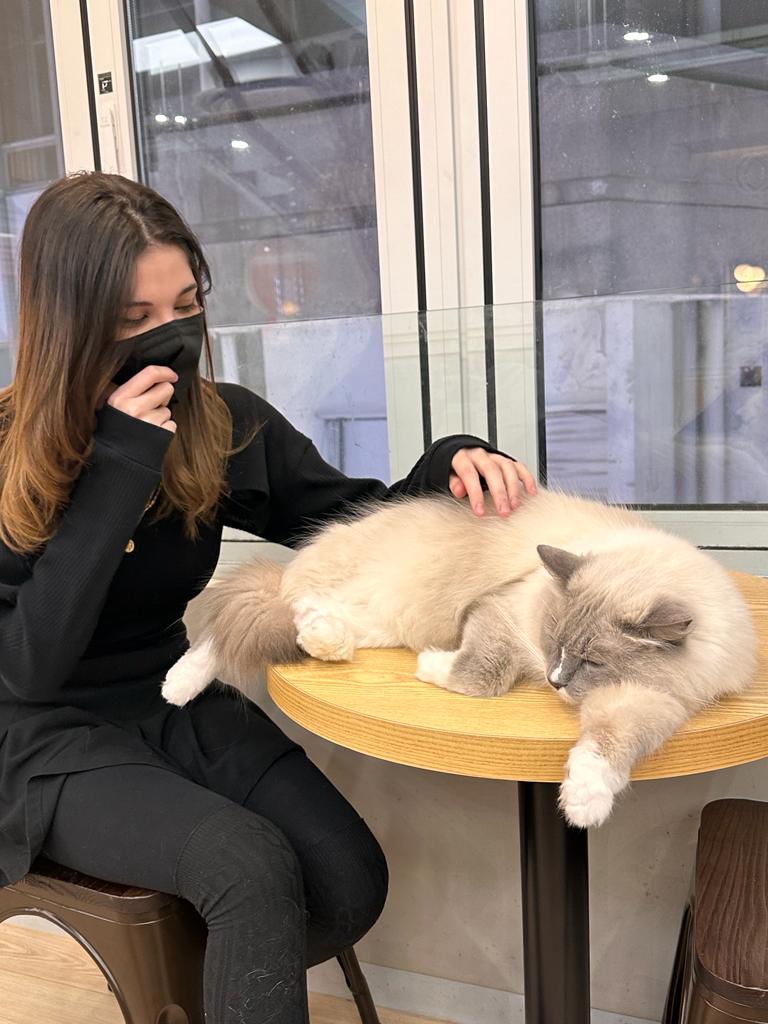 Anna฿lue 🇰🇷 tweet media