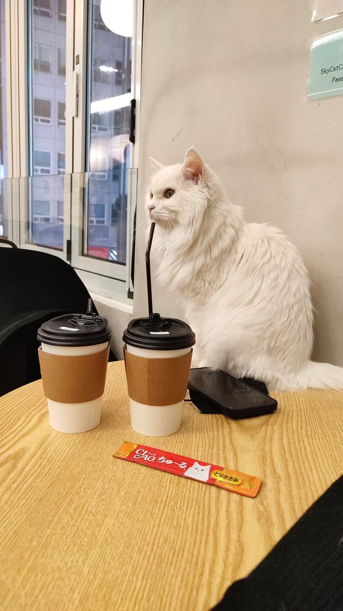 Anna฿lue 🇰🇷 tweet media