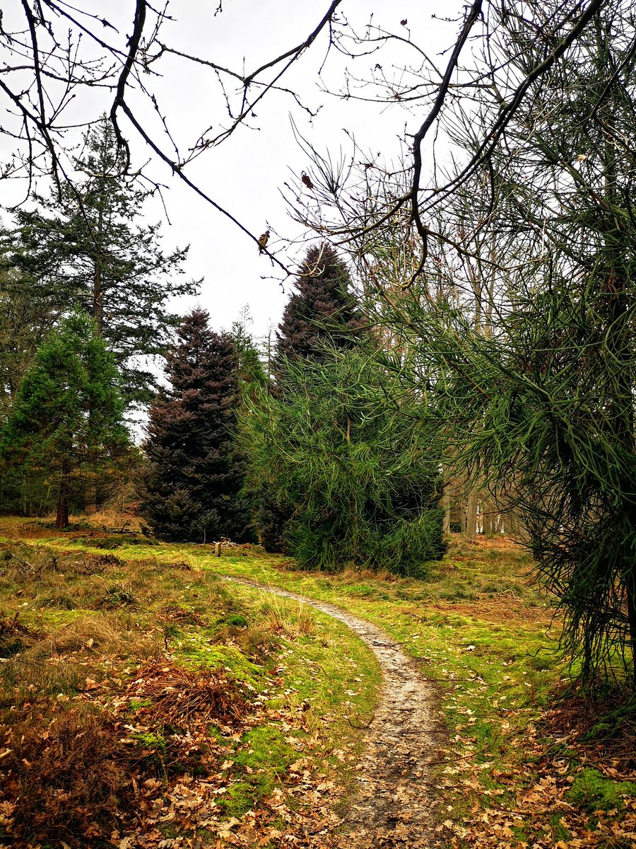 ZinvolReizen's tweet photo. Eerste wandeling van 2023 is een feit...

#eelerberg #Hellendoorn #goedestart https://t.co/ZFdIrrmCbv