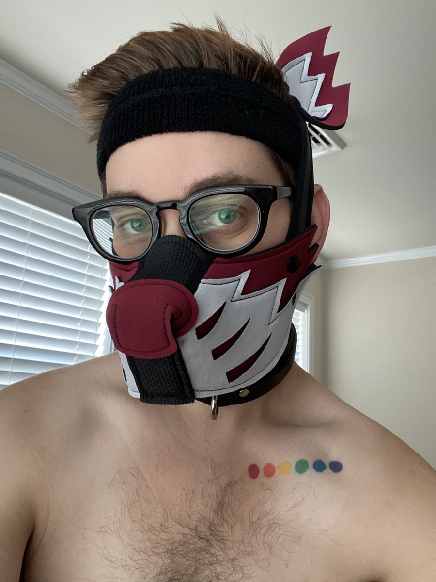 FernThePup's tweet photo. Okay I’ve had it. Fuck you! I don’t care how much you spent out last night or who else you’ve fucking sent to. PAY UP NOW!! #hitsend you fucking f*gs! 😤😤😤 #findom #cashmaster #kink #payme #cashfag https://t.co/wQH32X8tqi