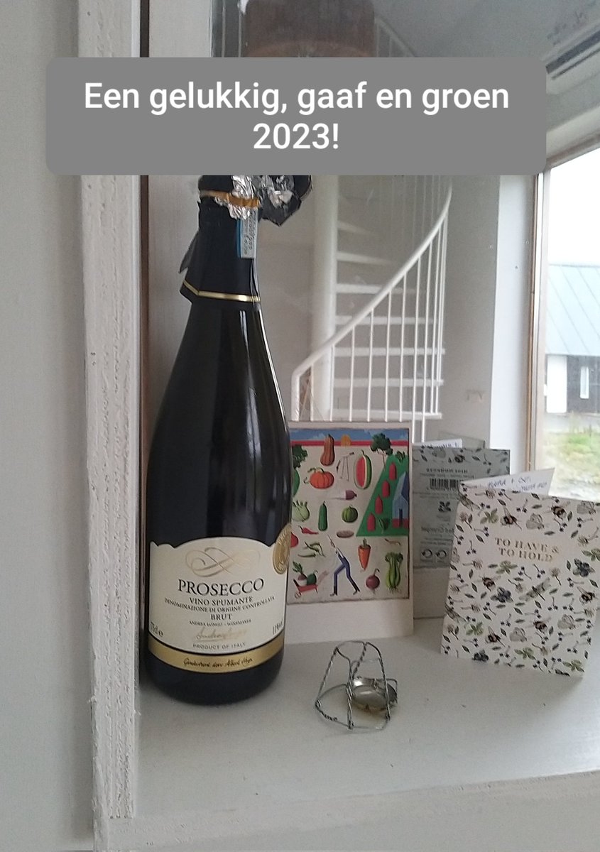 Elsje Bruijnesteijn (@elsjebruijn) on Twitter photo 