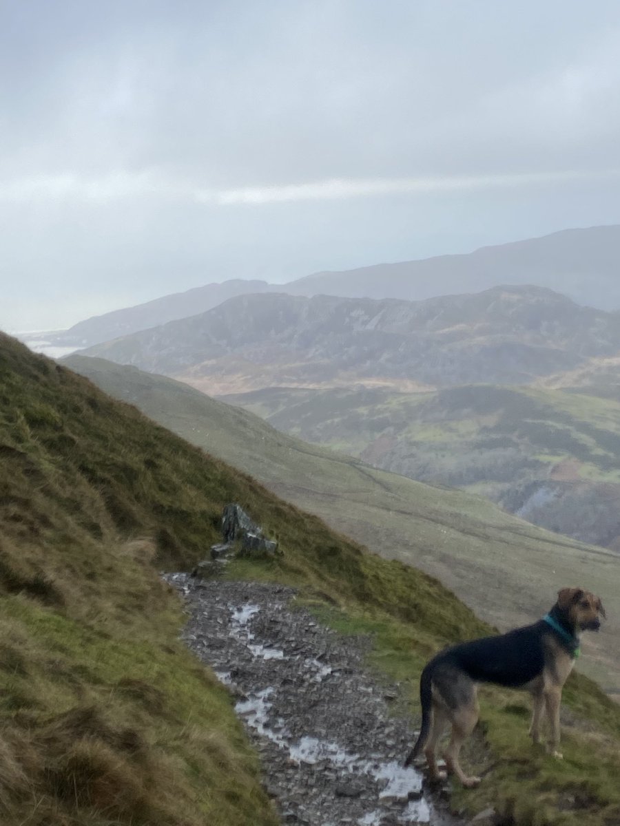 2023 let’s be having you! I have big plans for you!