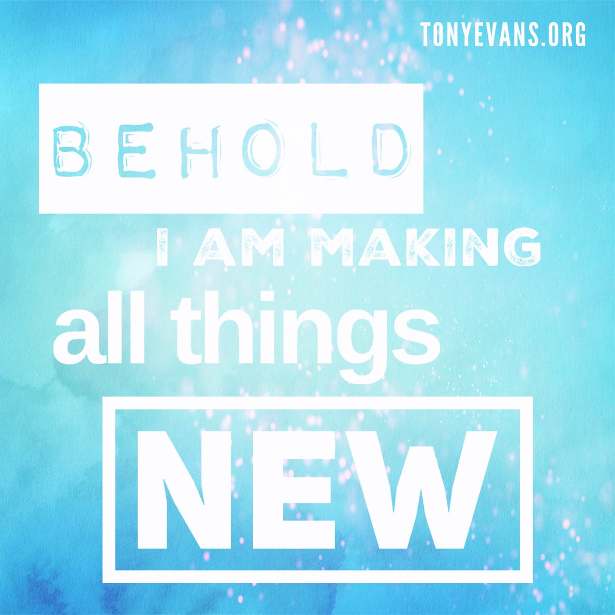 drtonyevans's tweet photo. https://t.co/Vzq12EgIin