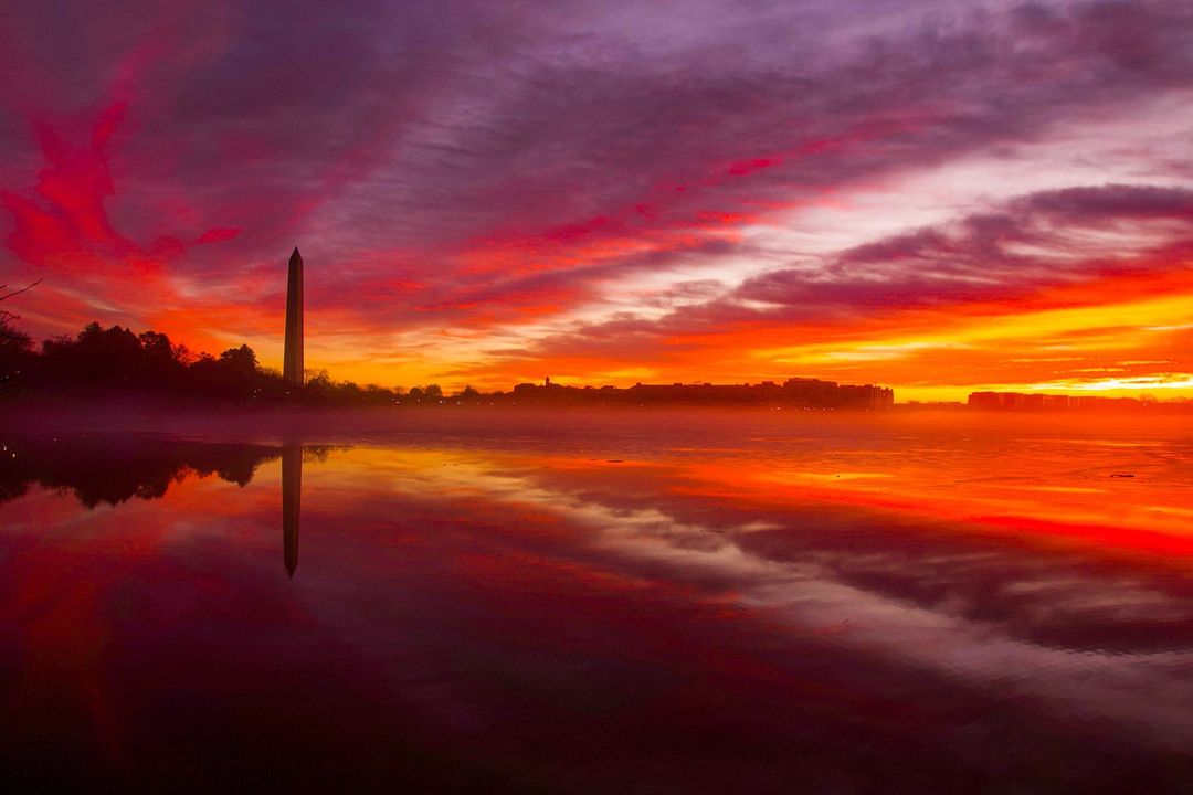 7News DC tweet media