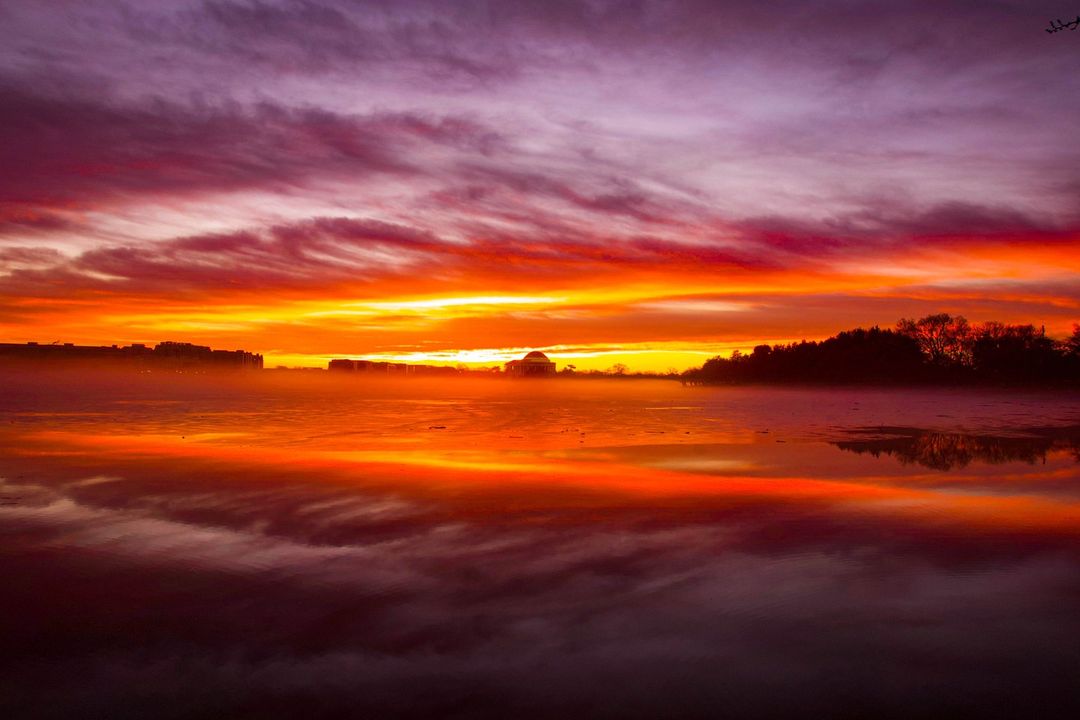 7News DC tweet media