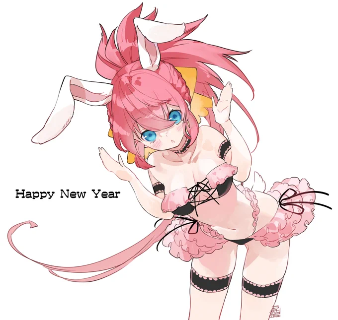 ハッピーにゅいやアアアァ日付変わってしまいましたが!今年もどうぞよろしくお願い致します……!兎と言えば!バニィアキナ……! 