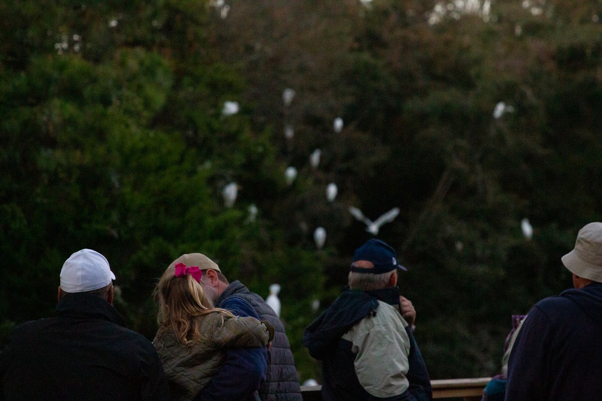 Happy New Year! How are you and your flock getting outside today?

Photos by Samantha Hoffman

#firstdayhikes #bhi #baldheadisland #nccoast
