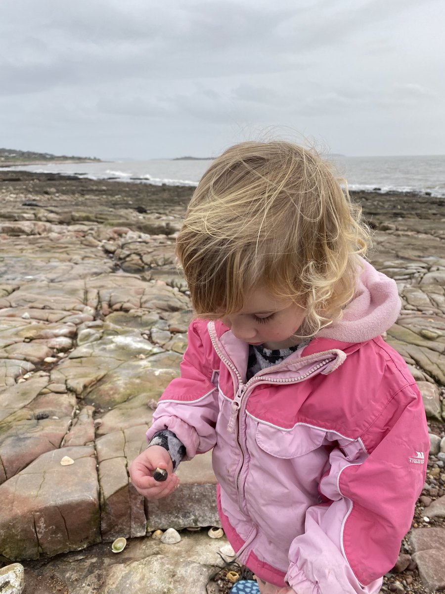 Seeder_Wood's tweet photo. While the Seeder Wood boys enjoy @Cardiff_Rugby at #CAP, the girls have been starting 2023 with a @2minuteHQ #2minutebeachclean #bendricks #sully https://t.co/h2aaWI9YML