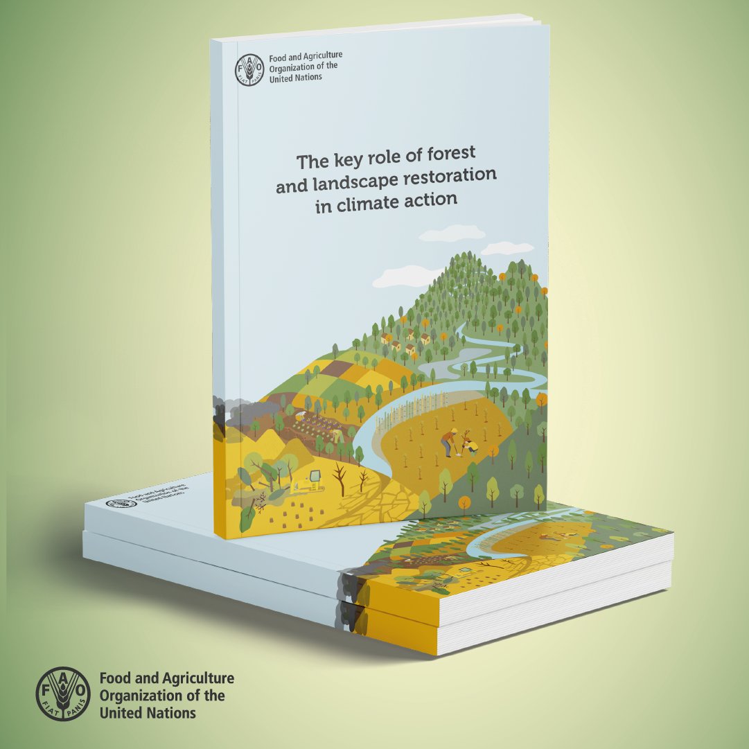 FAOForestry's tweet photo. Download a free @FAO publication!

The key role of forest and landscape restoration in climate action 

👉 https://t.co/3uaN7DGEbo

#GenerationRestoration https://t.co/u7ESFBxBHM