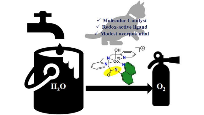 EurJIC (@eurjic) on Twitter photo A. N. Biswas and co-workers described a mononuclear cobalt(III) complex with a redox-active pentadentate amidate ligand acting as an efficient molecular water oxidation catalyst <a href="/BiswasLab_NITSK/">Achintesh N Biswas</a> onlinelibrary.wiley.com/doi/10.1002/ej… A. N. Biswas and co-workers described a mononuclear cobalt(III) complex with a redox-active pentadentate amidate ligand acting as an efficient molecular water oxidation catalyst <a href="/BiswasLab_NITSK/">Achintesh N Biswas</a> onlinelibrary.wiley.com/doi/10.1002/ej…