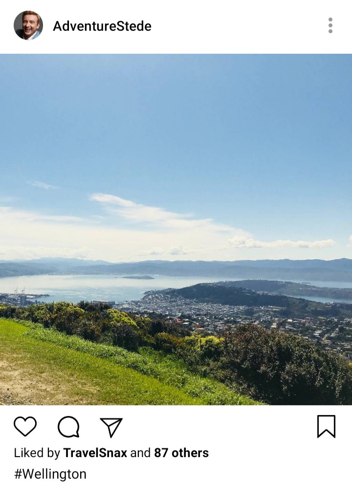 Stede's IG: Picture of the view of Wellington from above. Caption reads :#Wellington 