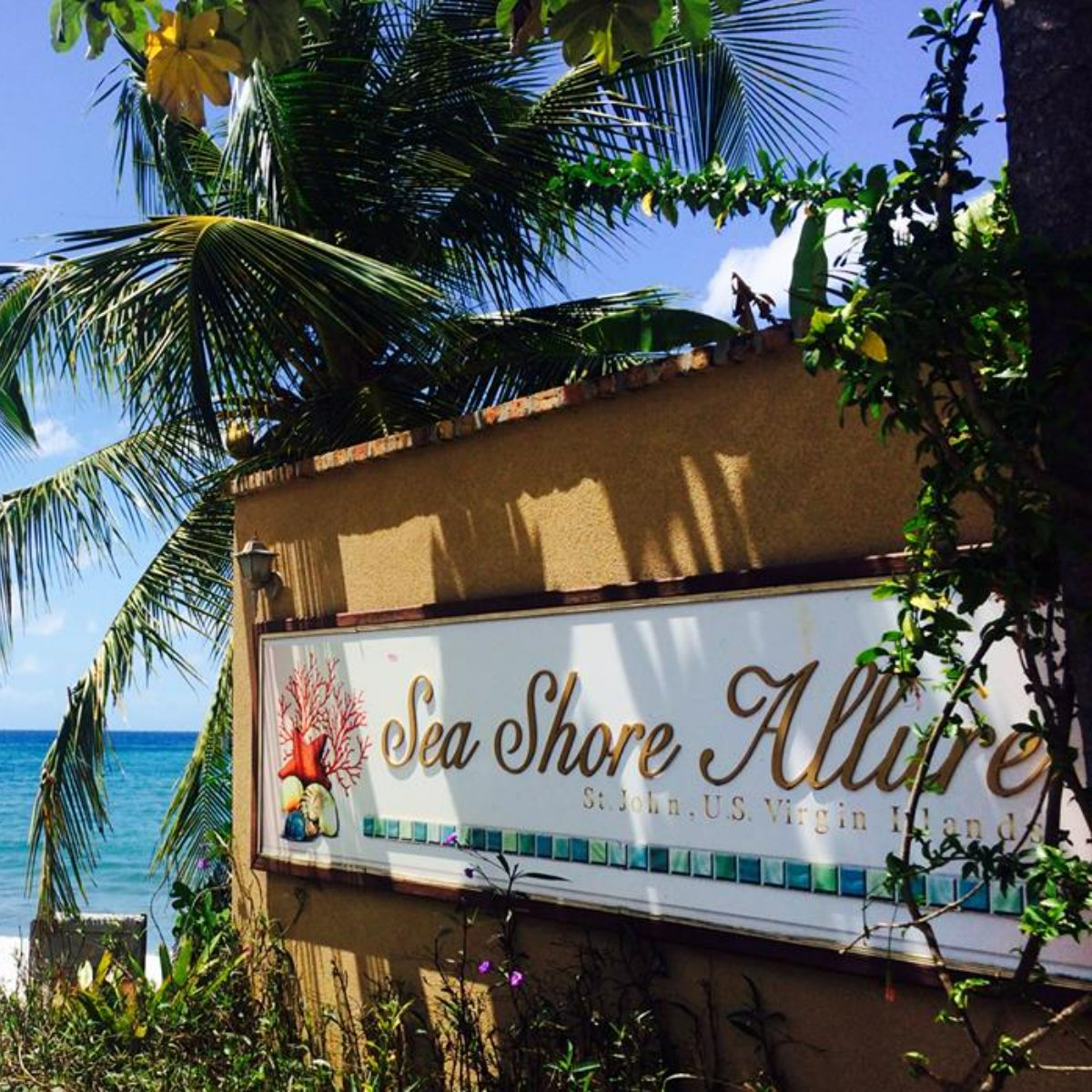 SeaShoreAllure's tweet photo. This year and every year, we're grateful to everyone who comes to St. John's Bay and stays with us for their getaway. We look forward to making many more memories with you in 2023! https://t.co/a7DYlGwEaa