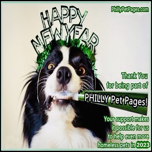 Wishing the best of everything for 2023! #HappyNewYear2023 #NewYear #DogsOnTwitter #DogsofTwittter #petsoftwitter #AdoptDontShop #phillypetpages 
#RescueDogs #shelterdogs #2023NewYear