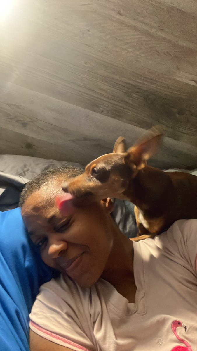 DaliaAlyse's tweet image. 8:08 PM
#BoomBaby

When we Remember that:

All things work out perfectly for us

We Realize that:

Every body &amp;amp; every thing is beneficial

And we See that:

Ain’t no need in worrying

Because we Know that:

It’s ALL good

#NewYouResolution