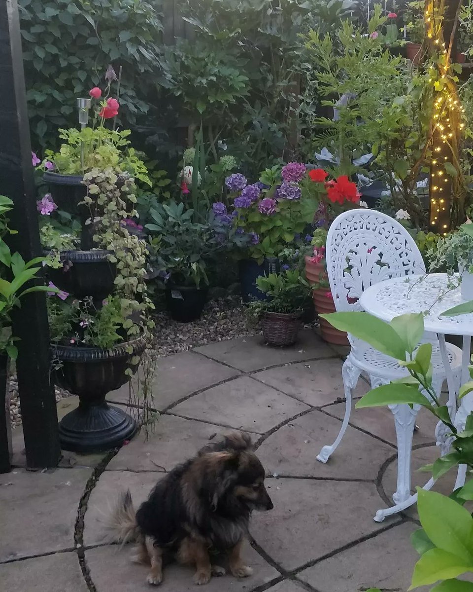 Dina Fernandes-Bedwell tweet media