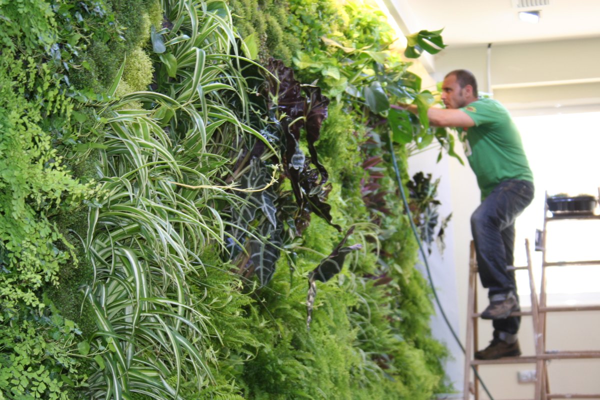NaturaHQ's tweet photo. This new year add plants to your business. Don't worry about maintenance - we've got you covered! As plant experts we recommend pothos, snake plants, and ZZ plants as some of the best options for the office. 🪴
Check out this article to learn more:
https://t.co/82zUKIOzur https://t.co/QIpezADebi