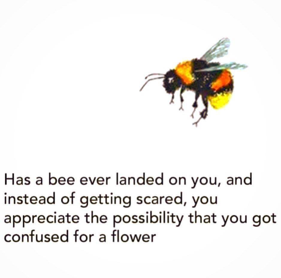 Monster_M2_Bee's tweet image. Resolution: Focus on having a generous eye, a modest demeanor, and a humble soul. 

2023 will be the best year of our lives, believe it!

Happy New Year everyone. Big things on the way! @M2_Cash @Crypto_Swarm #M2Monsters #SBU