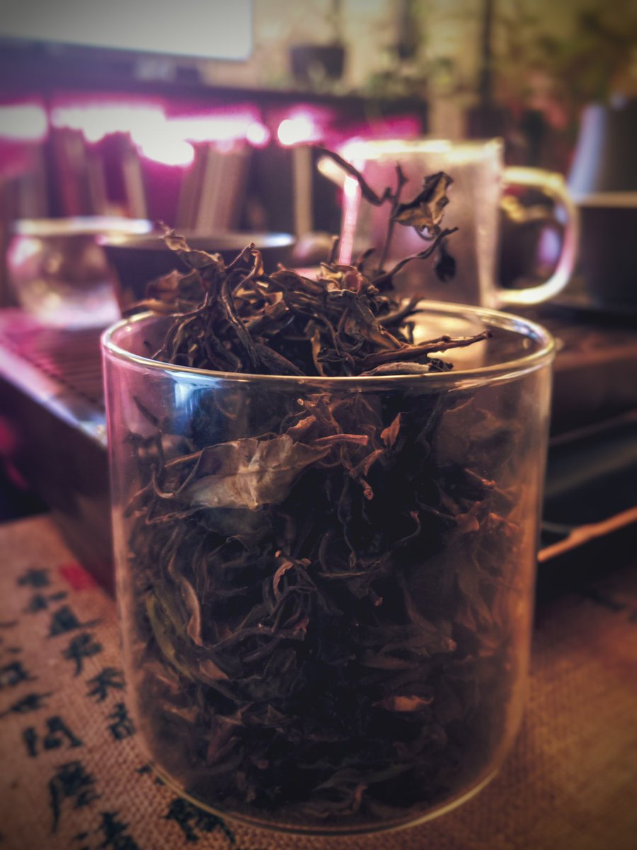 我的星期天早的茶是失控👀 #gongfutea #learningchinese