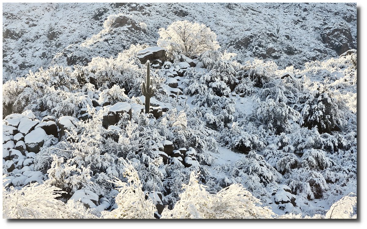 Tony Heller on Twitter "It was a spectacular morning on January 1, 2019 in Arizona, but very cold"