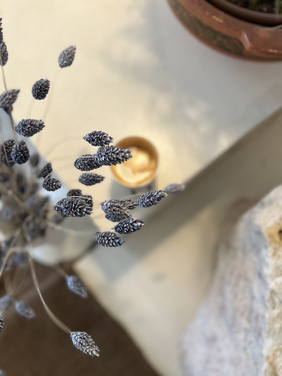 حنطيه 🤍☕️
<a href="/hintiacafe/">حِنْطِية كافيه | hintia cafe</a> 
الجو الحلو يبي له قهوة لذيذه 
وجربنا الحلا الشتوي ،
المكان جميل والقهوة لذيذه جدا 
والحلا فعلا فعلا ممتاز 🤍
الاسعار مناسبه 
واكيد مو اخر زياره ، وضروري  تجربكون كليجا الحنيني بالكراميل ،
لذيذ مره 👍🏻
.
فلات وايت : ١٥ ريال 
كليجا الحنيني المكرمل : ١٧ ريال