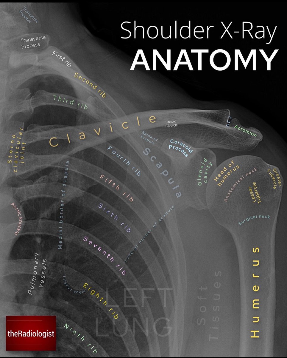 theRadiologist tweet media