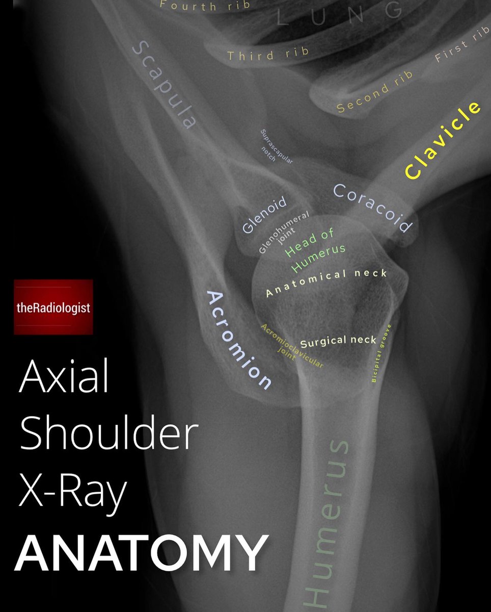 theRadiologist tweet media