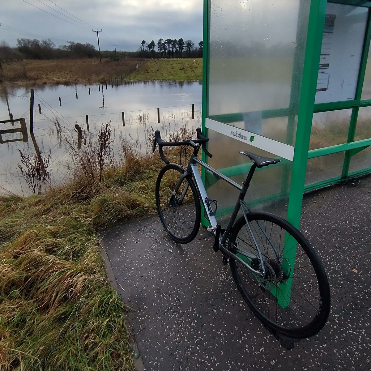 philipianhall's tweet photo. Still A Bit Choked Spluttery And Less Than One Hundred Percent In General But Thought It Was Time To Get This Show Quite Literally Back On The Road - Felt Good To Be Out Again
#cycling #scotland
#edinburgh #midlothian
#sundayafternoon
#newyearsday
#21miles #33km https://t.co/roqoG8JaHH