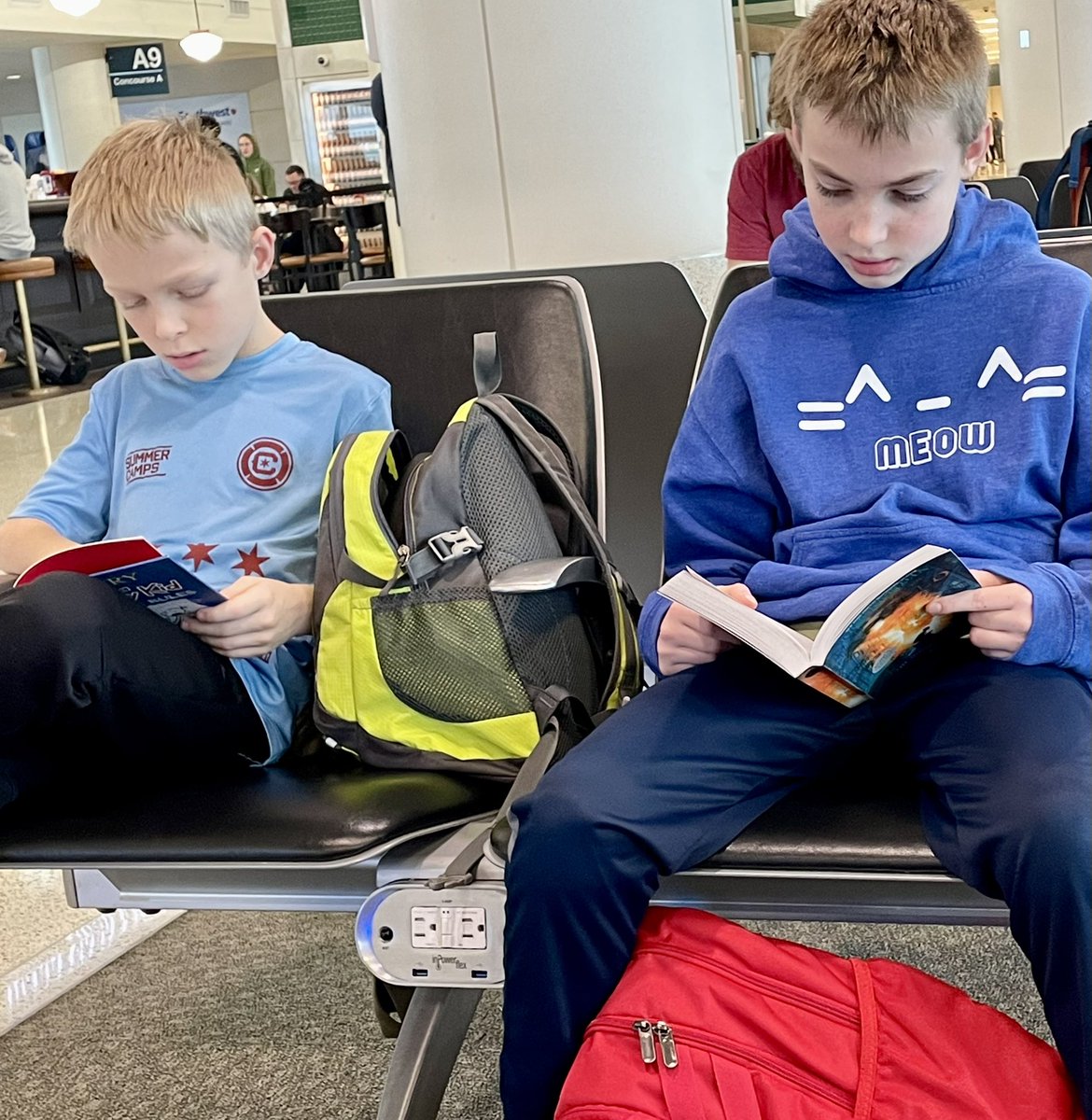 michelle tweet media