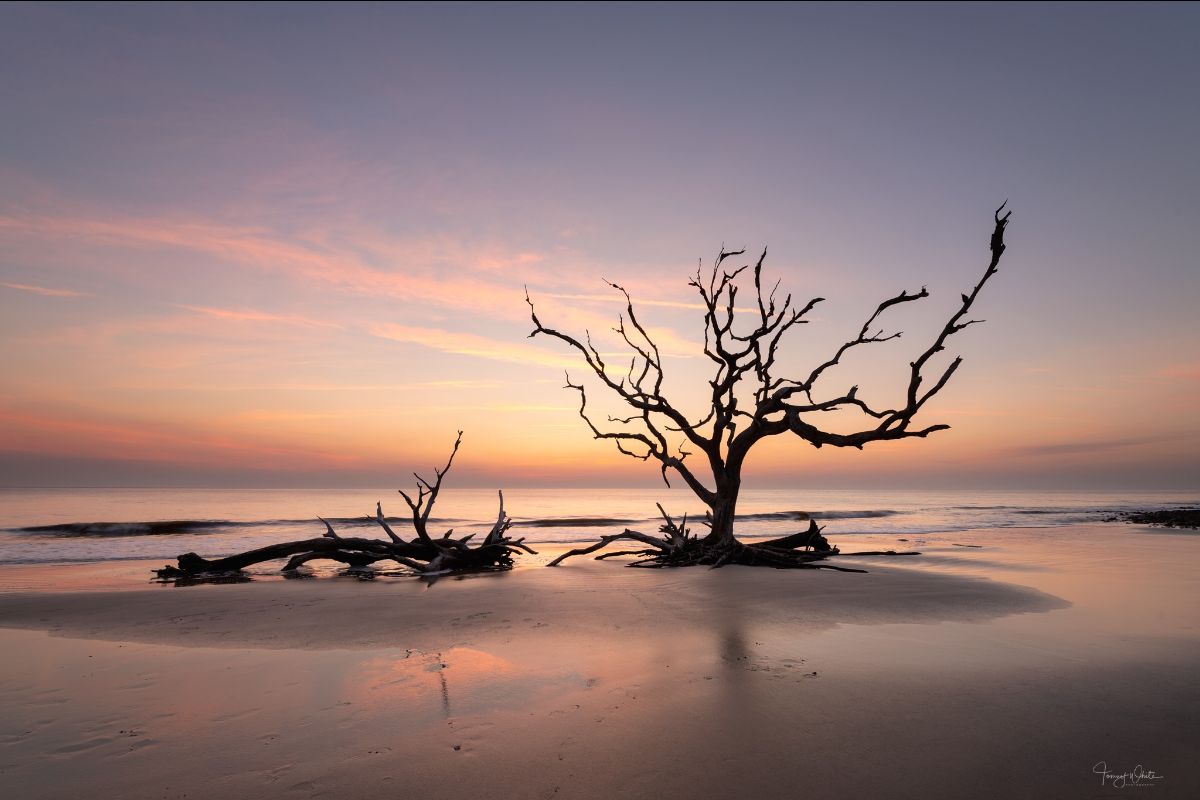 anicol's tweet image. Happy New Year! 🎉 - mailchi.mp/mountainstosea…