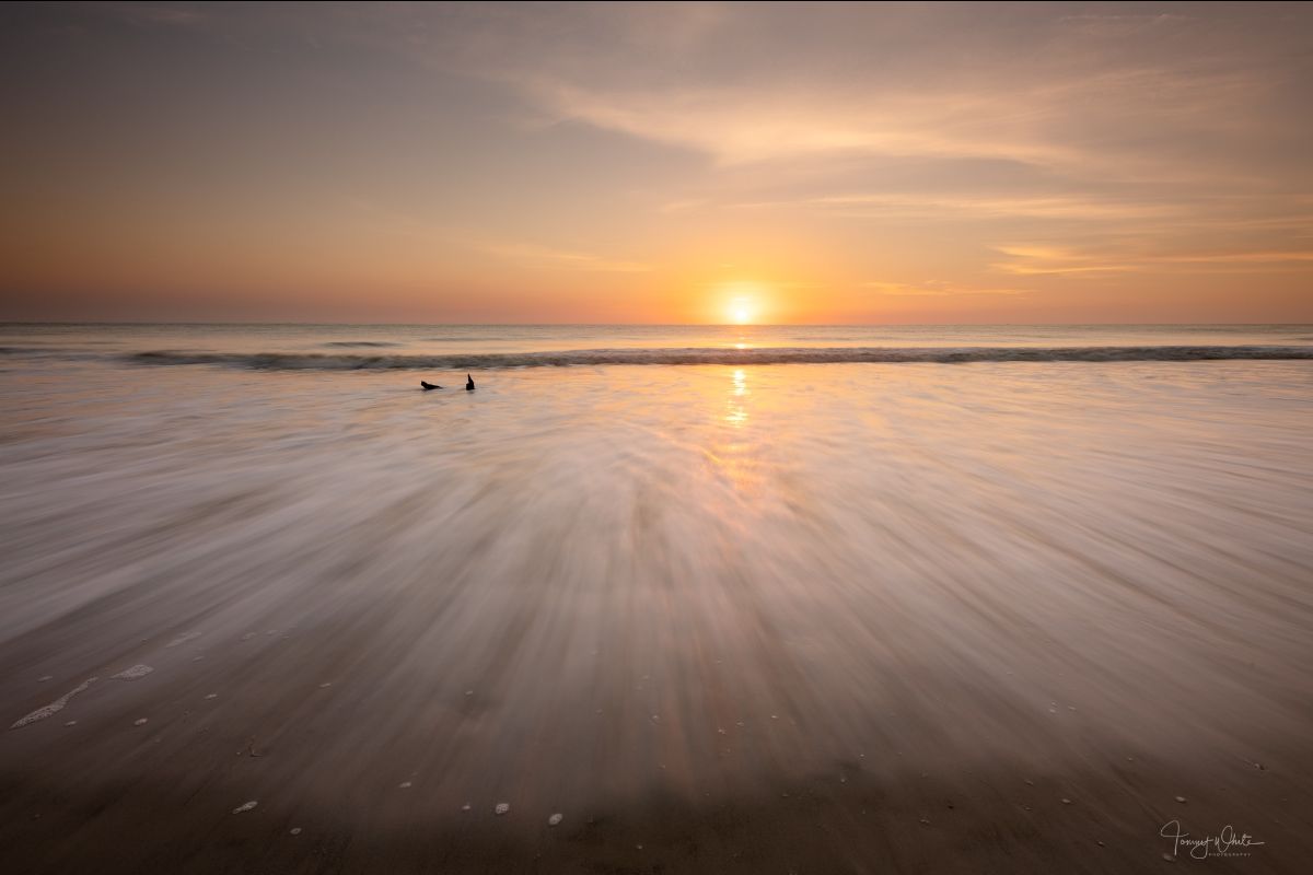 anicol's tweet image. Happy New Year! 🎉 - mailchi.mp/mountainstosea…