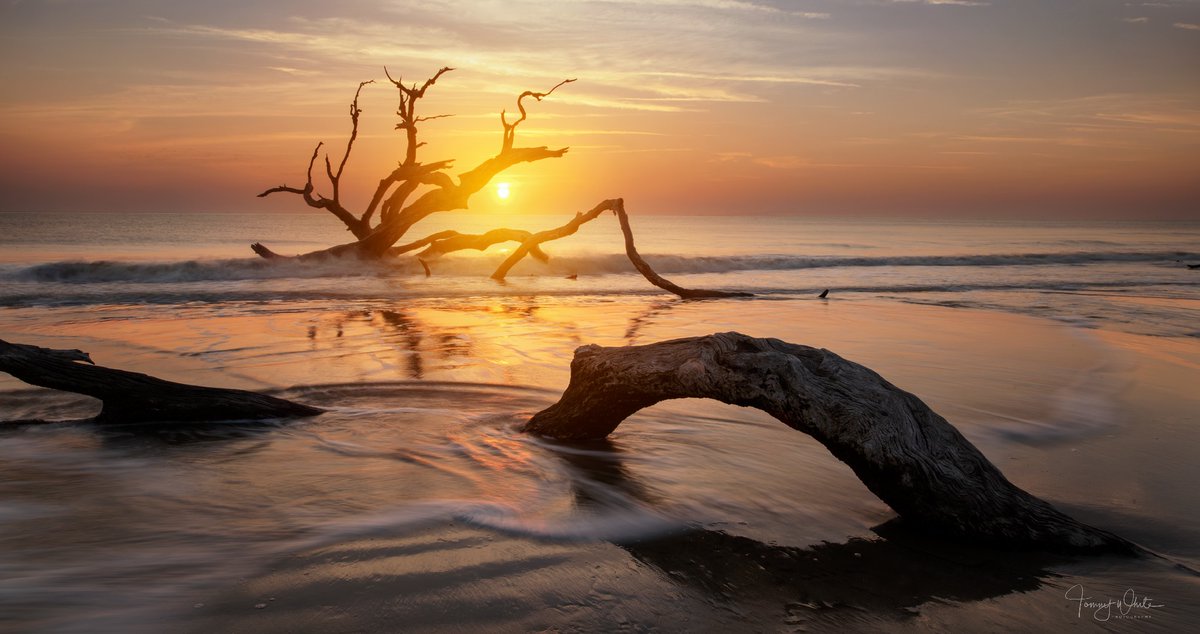 anicol's tweet image. Happy New Year! 🎉 - mailchi.mp/mountainstosea…