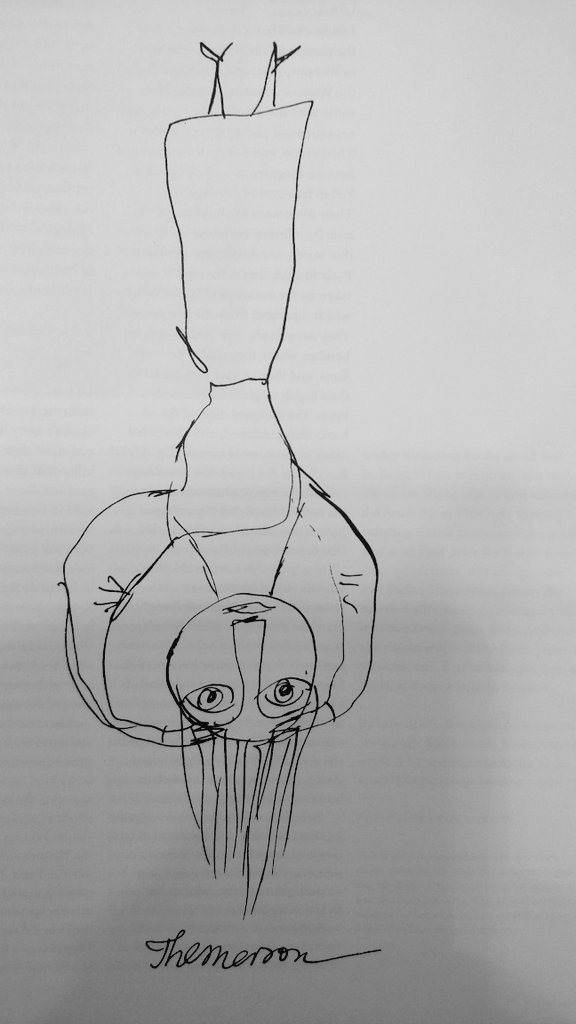 "Am I standing on my head?
Or, is the world upside down?" 
(Self portrait) c1949
Franciszka Themerson 
#HappyNewYear2023 
#Themerson