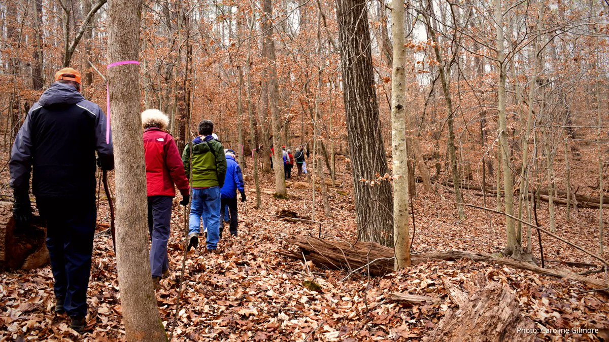 TriangleLand's tweet photo. It’s the start of a new year, spend your #FirstDayOutside! ☀️
Up for a challenge? Complete TLC's Hiking Challenge with 6 hikes at 6 TLC preserves. Don’t forget to share your pics with us at #HikeTLC! 🌳
Start exploring today at https://t.co/3IwKHAu3oT https://t.co/E4rveVvHjN
