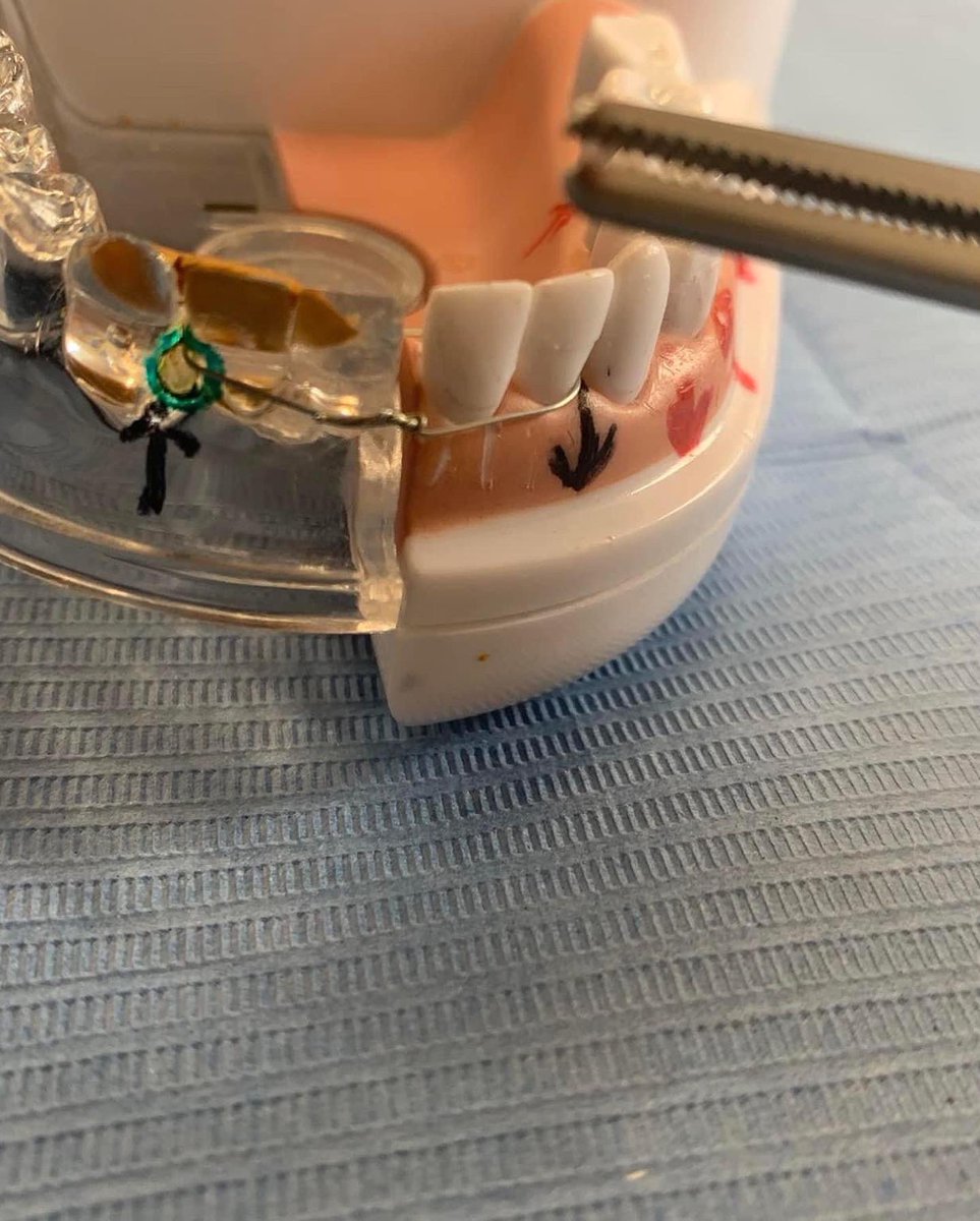 RemoteAreaRisk's tweet photo. Emergency Dentistry & Facial Trauma in Austere Environments. 31.03.23 Delivered by us at @plasybreninofficial - expert, entertaining, hugely experienced.
https://t.co/nImJjSM7PW
#expeditionmedicine #expedition #doctor #nurse #paramedic #expeditionleader #dentistry https://t.co/3pUz2O5qp8