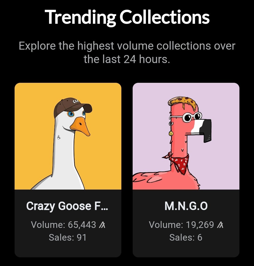 MoonAlgo's tweet image. Year of the Longboi