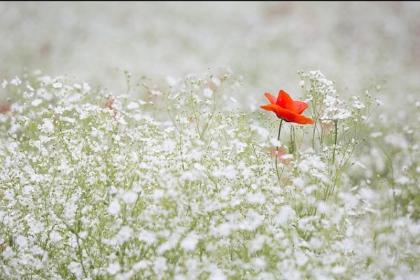dharma_center's tweet photo. Jan Mindfulness Tip: Breathing Gratitude &amp; Generosity, plus Meditation Classes at Dharma Center #meditation #mindfulness #gratitude #generosity - https://t.co/3ldozJE5jG https://t.co/olZju6aZiE