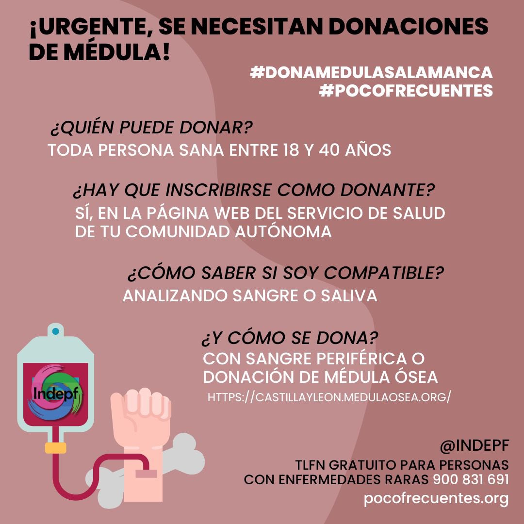 lamacope's tweet image. ¡Alberto necesita nuestra ayuda!

Tiene 4 años y es de Salamanca.

Necesita un trasplante de médula urgente.

La donación la pueden hacer personas entre 18 y 40 años y desde cualquier punto de España.