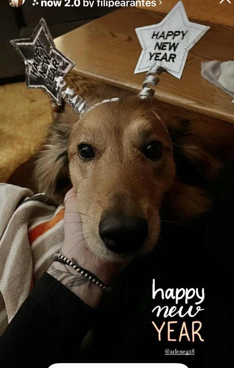 ArleneGeerlinks's tweet photo. Happy New Year! We made it to midnight and saw 2023 creeping in! Happy New Year to you all! May your year be filled with health, wisdom, prosperity, family and friends! Plus, other good stuff! #HappyNewYear2023 #colliemix #westayedin https://t.co/pHeX4TFfYh
