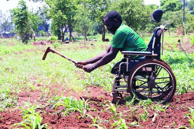 RafikiGatsinzi's tweet image. When passion leads. ❤️❤️❤️
#Disability is not #Inability. 
Dear fellow youth what else will be the excuses ? 
Like and retweet. 
#Farmingforall