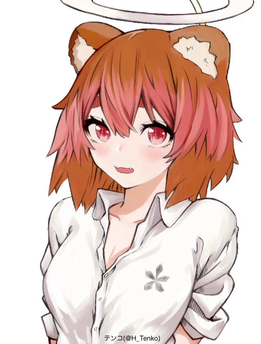 2023 たぬき 