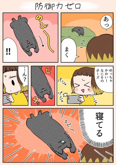「防御力ゼロ」
びっくりしました😅

#漫画が読めるハッシュタグ
#日常
#猫 