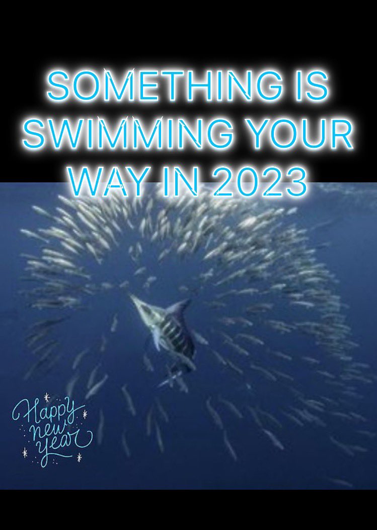 Happy New Year! Something is swimming year way in 2023! Stay tuned!