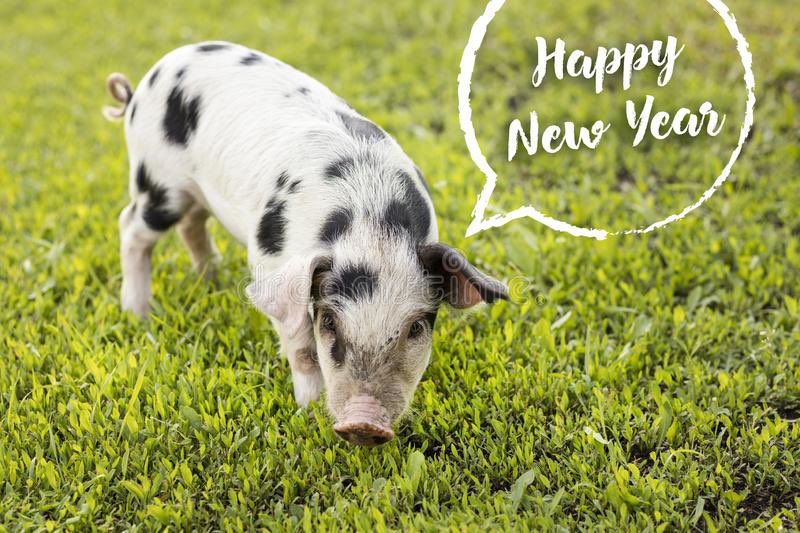 Robeson County fair (@robesoncountyfa) on Twitter photo 