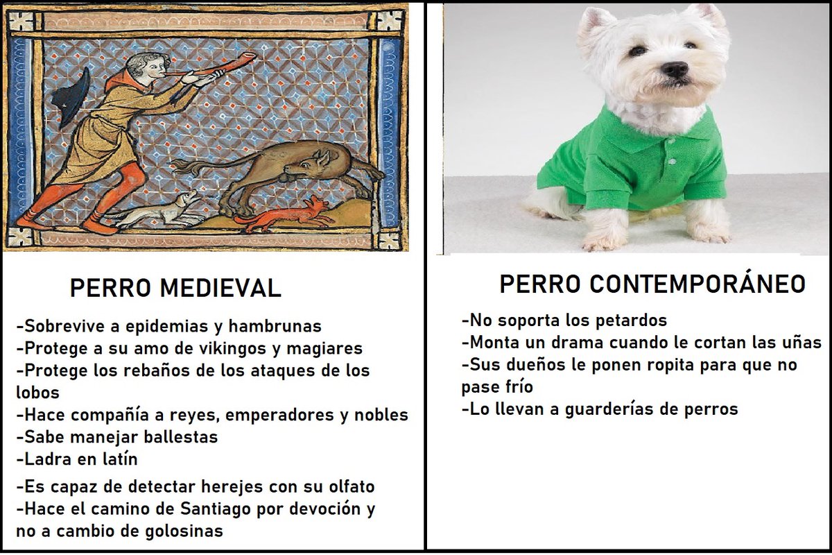 Cuñado Medieval (@siervo_gleba) on Twitter photo 