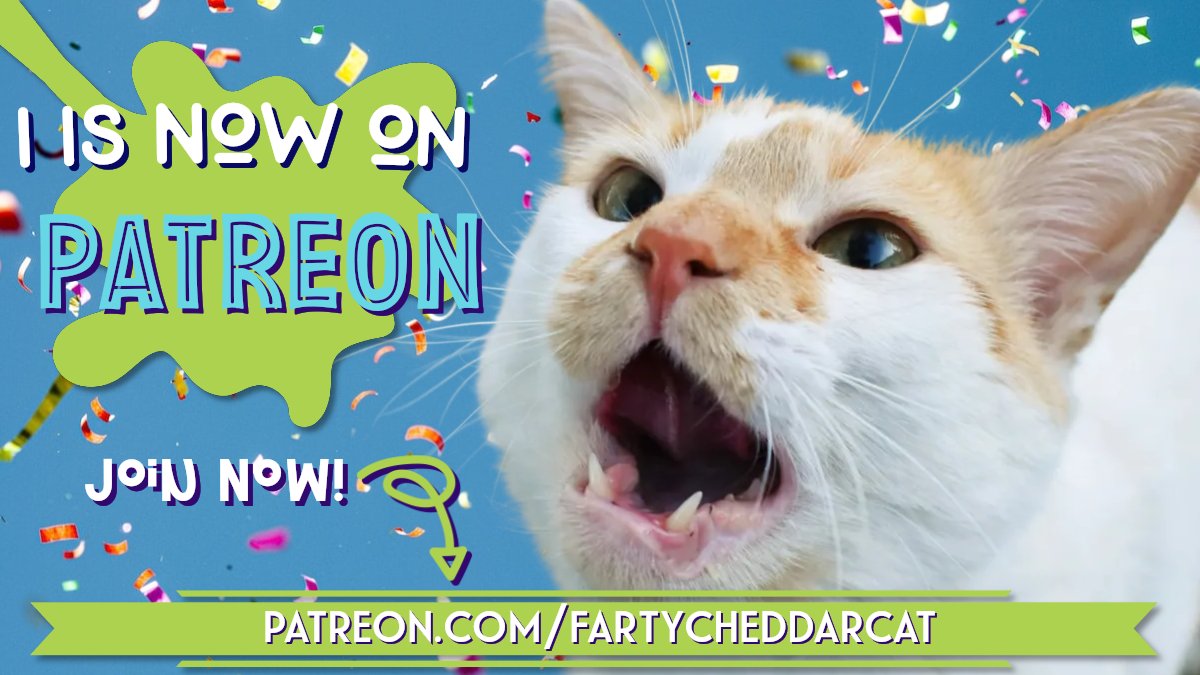 FartyCheddarCat's tweet photo. I has big eksiting mews
I now on Patweeyon!
Sine up befor jannywarry 15 and yoo gets speshil stikker!!

https://t.co/mtErlPfJwO https://t.co/4qk6NDwo8s