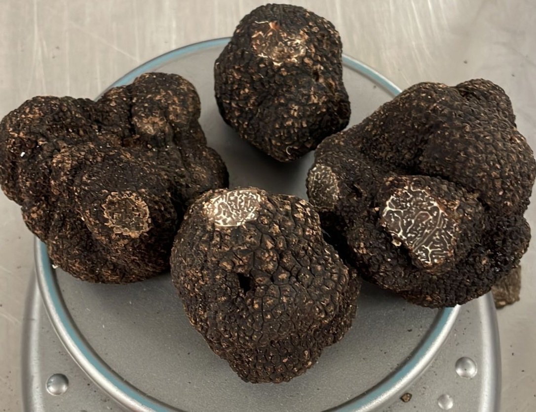 Sybaritic2011's tweet photo. Winter black Perigord truffles are now fully mature and the prices have dropped. Happy New Year!
#perigord #truffles #decadence #gourmet #gastronomy #foodporn #finefood #ingredients #michelinguide #michelinstar #aarosette #aaguide #trufflelife #trufflemerchant #sybaritic https://t.co/4P052FpULv
