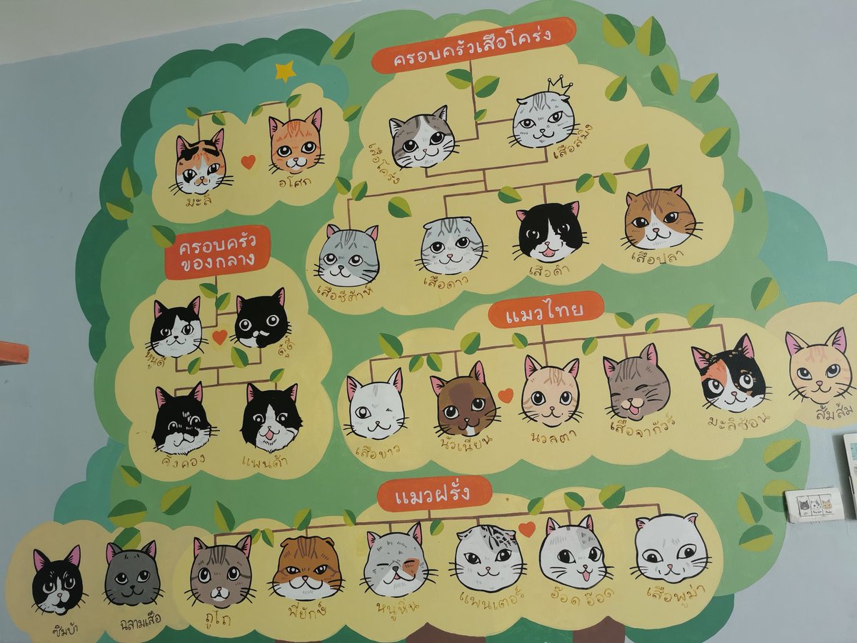 เริ่มต้นปีด้วยไปเล่นกับน้องแมวจรที่ <a href="/CatsterClub/">Catster & Co บ้านพักพิงแมวจร</a> น้องๆน่ารักชอบให้เกาและเชื่องมากบางตัวคือหนุนตักไม่ยอมไปไหน ทาสแมวอย่างแฟนเราและลูกฟินไปเลย