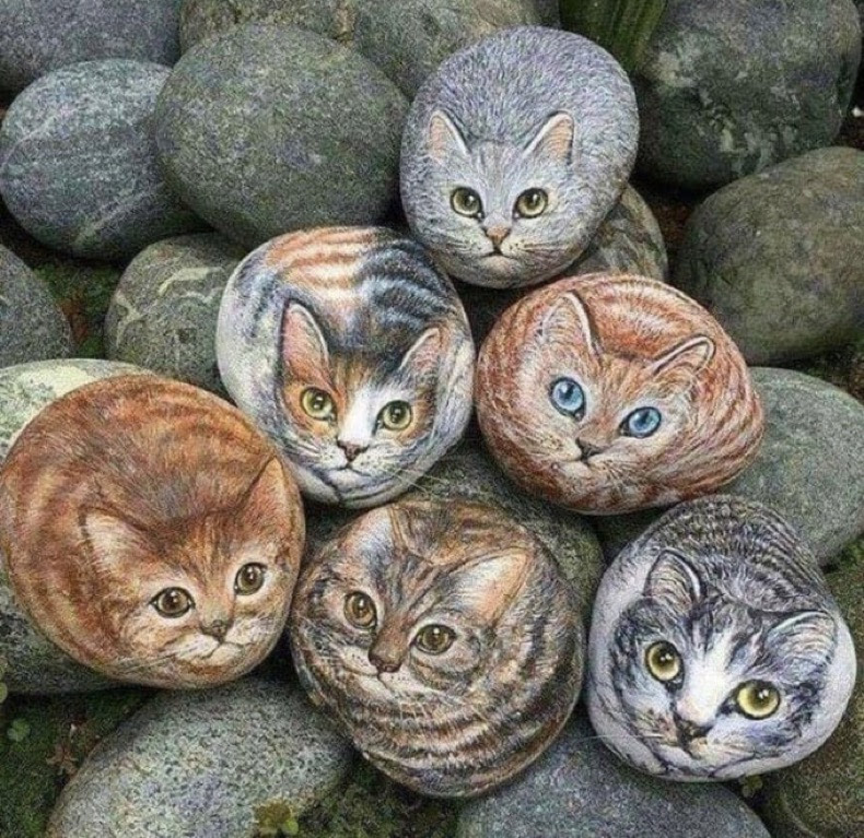 KittyKatGirl😻🙏💞🐞 tweet media