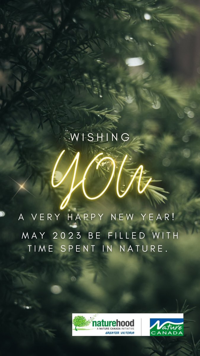 From the Hood, Happy New Year #YYJ