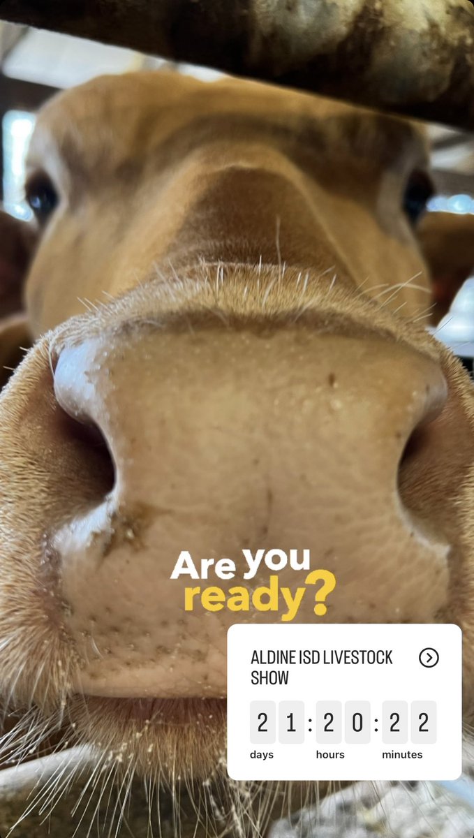 NimitzFFA's tweet photo. Happy new year from Nimitz FFA! It’s officially show season! Are you ready? https://t.co/iOMg6MNSFM